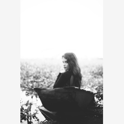 Top Gunが撮影したその他の写真