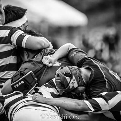 写真屋ごんちゃんが撮影したウェディングや家族、ビジネスの写真