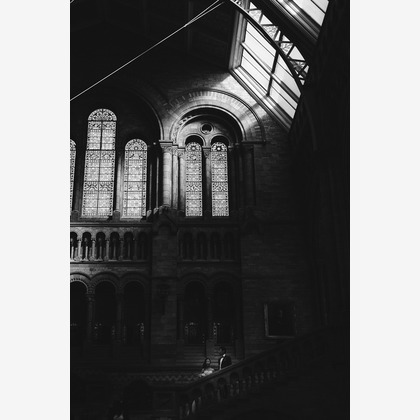 Takako Drew Photographerが撮影したウェディングや家族、ビジネスの写真