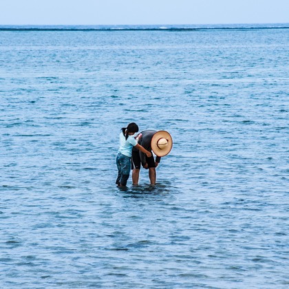 有光こうじ写真事務所が撮影した「:albumName」の写真