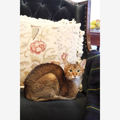 森安　照が撮影した「:albumName」の写真