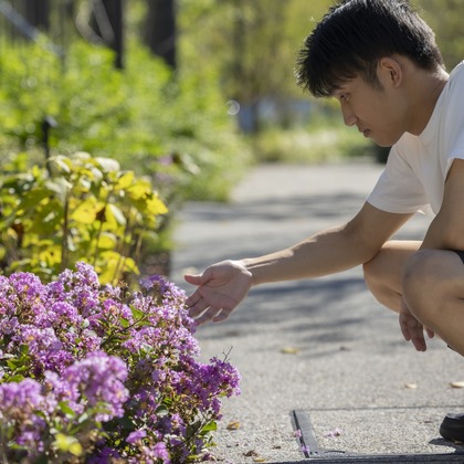トニーデザインが撮影した「:albumName」の写真