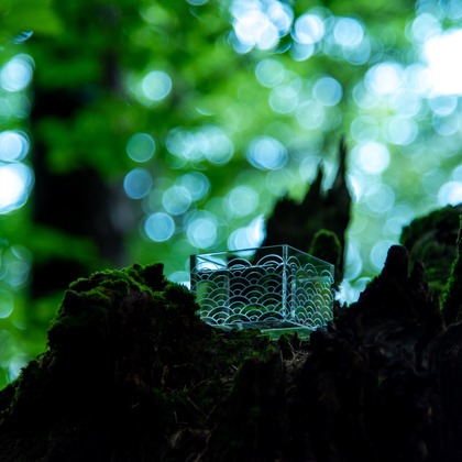 maruが撮影した「:albumName」の写真