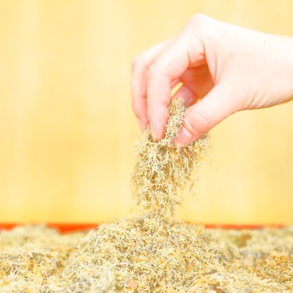 （株）建基が撮影した店舗/オフィス/サロン撮影/料理撮影/商品/物撮りの写真