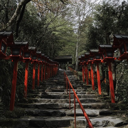 三谷 朋也が撮影したその他の写真