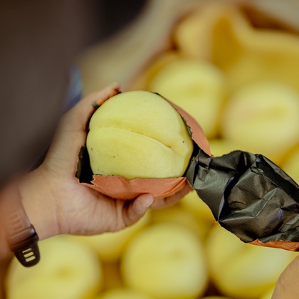 umimoyamamoworksが撮影した「農家さん取材写真」の写真