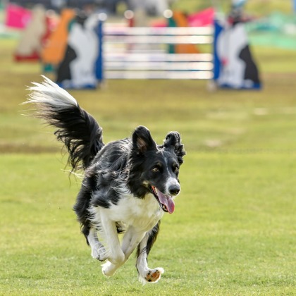 スタジオファンタスが撮影した「:albumName」の写真