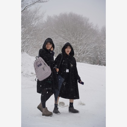 Picture Art Networkが撮影した「:albumName」の写真