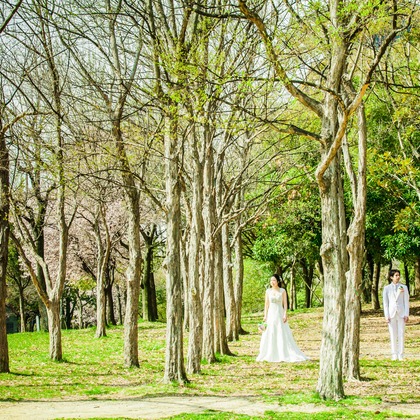 oが撮影したウェディングや家族、ビジネスの写真