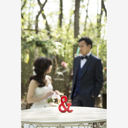 Photo of :albumName taken by My Style Garden Studio 