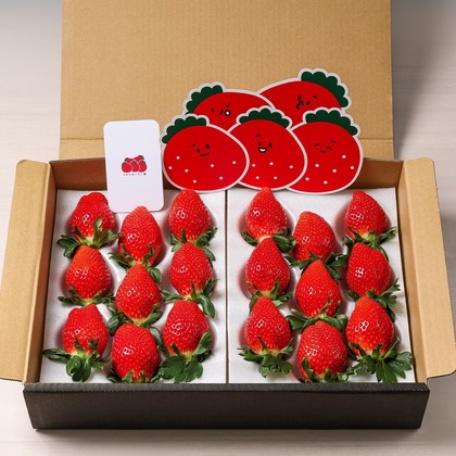 株式会社Neo-Smile 「locationbreeze」高橋 徹が撮影した「:albumName」の写真