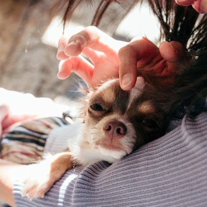 ポートレート沖縄が撮影した「:albumName」の写真