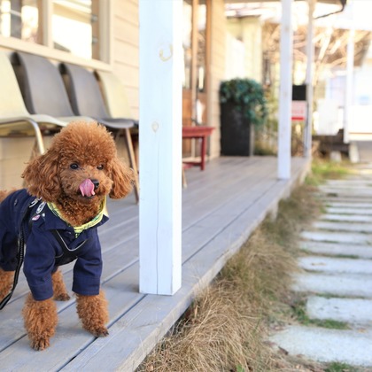 Photographer  Tomoが撮影したウェディングや家族、ビジネスの写真