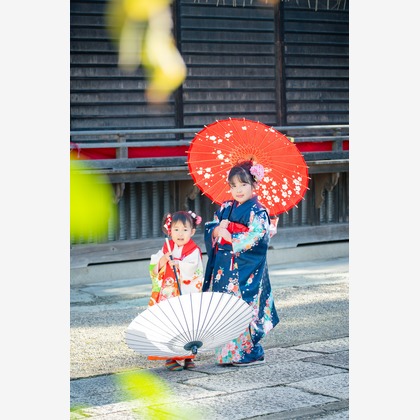 戸澤麻衣が撮影した「:albumName」の写真