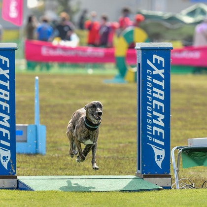 スタジオファンタスが撮影した「:albumName」の写真