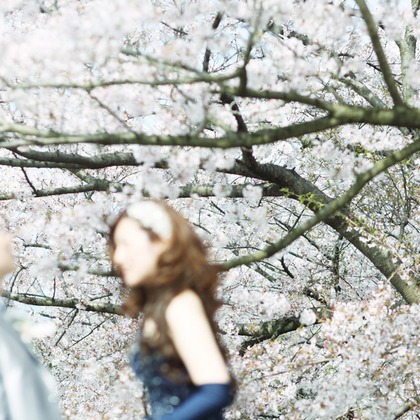 HIROYUKI KUMA PHOTOGRAPHYが撮影した「:albumName」の写真