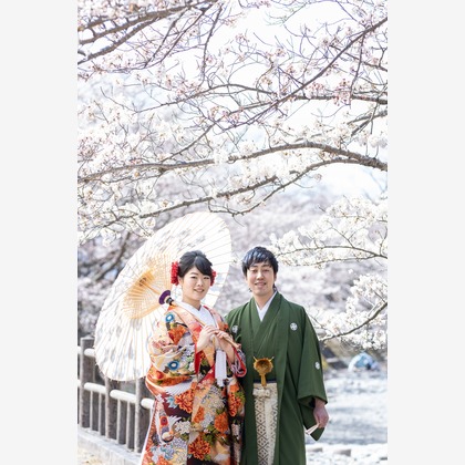Photo of Kyoto　Prewedding photo with cherryblossom taken by saruco(Hisashi Iwasaki)