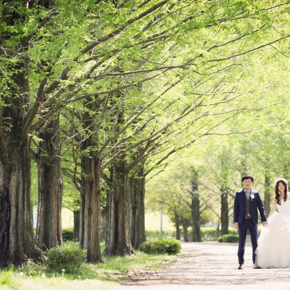 elle pupaが撮影した「:albumName」の写真