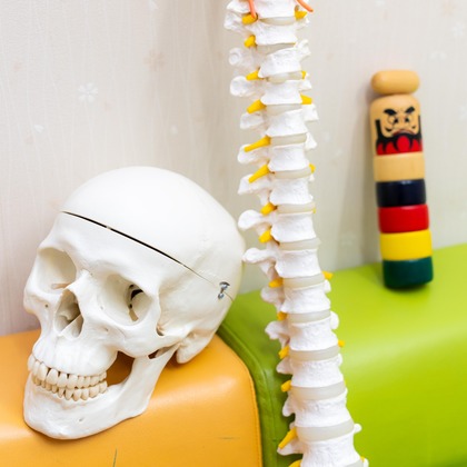 石橋宙大が撮影した店舗/オフィス/サロン撮影の写真