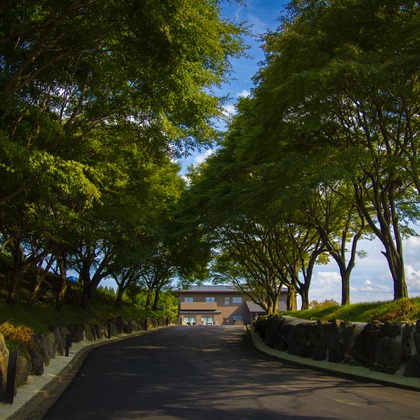 SMILE PHOTOが撮影した店舗/オフィス/サロン撮影/不動産/竣工の写真