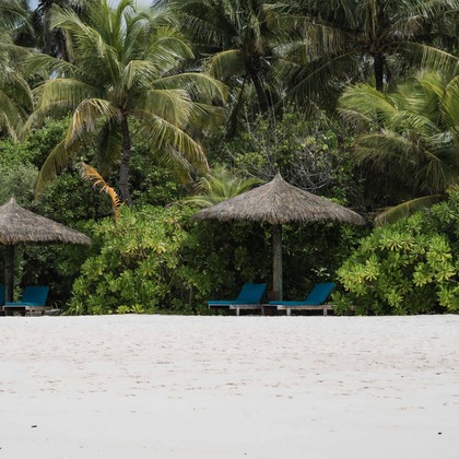 oryo studioが撮影した「:albumName」の写真