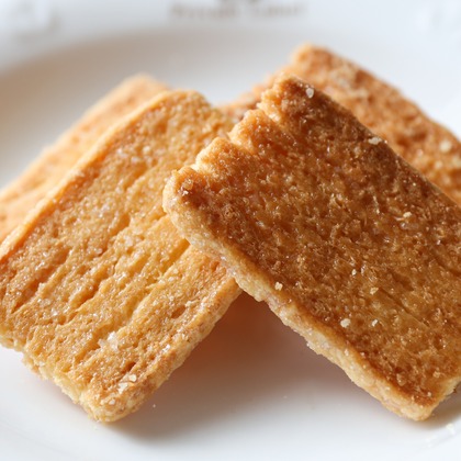 手塚大介が撮影した「:albumName」の写真