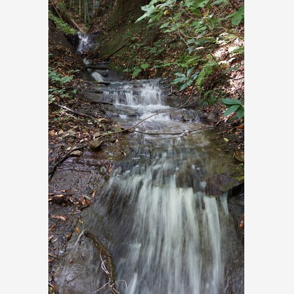 出張撮影のメモリーズが撮影した「:albumName」の写真