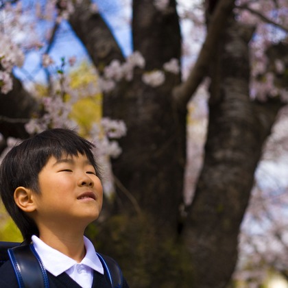 WithshopJapanが撮影したウェディングや家族、ビジネスの写真