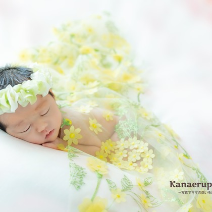 Kanaeruが出張撮影したニューボーンフォト(新生児写真), 毛皮, 赤ちゃん/ベビーが写ったスタジオ撮影の写真