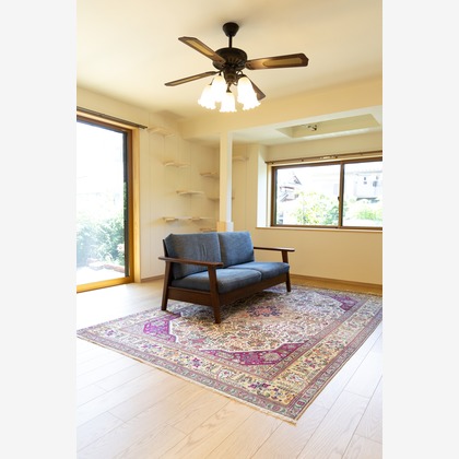 あおフォトが撮影した不動産/竣工の写真