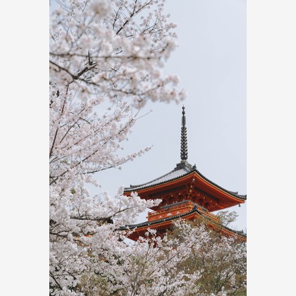 三谷 朋也が撮影したその他の写真