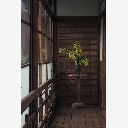 菅悠生が撮影した「:albumName」の写真