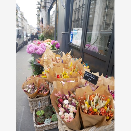 ant10.が撮影したその他の写真