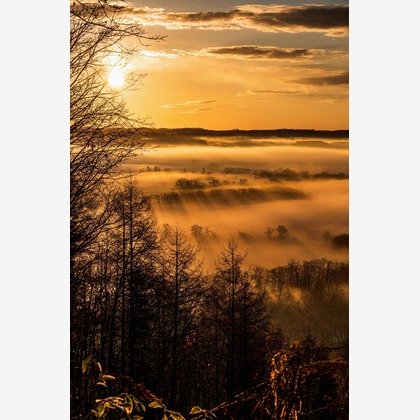 高木勇斗が撮影した「:albumName」の写真