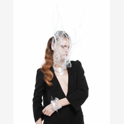 中野雄一が撮影した「:albumName」の写真