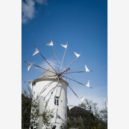 Tak Ogawa photographerが撮影したイベント/スナップ撮影の写真