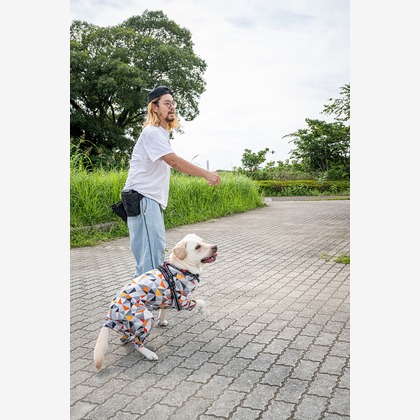 吉田佳央が撮影した「:albumName」の写真