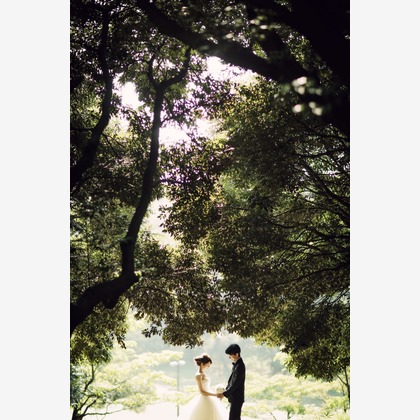 elle pupaが撮影した「:albumName」の写真