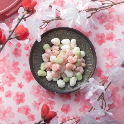 写真屋ごんちゃんが撮影した「:albumName」の写真