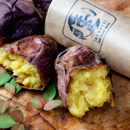 岩本隆之が撮影した「:albumName」の写真