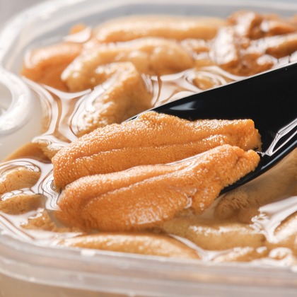 写真事務所ポートフォリオが撮影した「:albumName」の写真