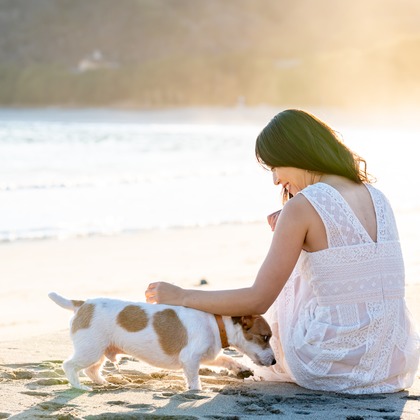 Peace-full photoが撮影した「ペット撮影」の写真