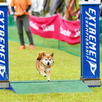 スタジオファンタスが撮影した「:albumName」の写真