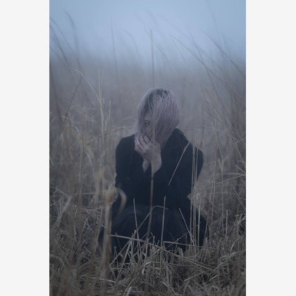 ならもとかずやが撮影した「:albumName」の写真