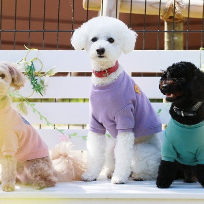 外川博己が撮影したその他の写真