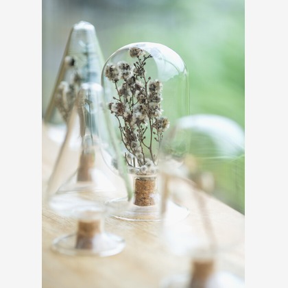 Yoppegraphy Photographic Serviceが撮影した「:albumName」の写真