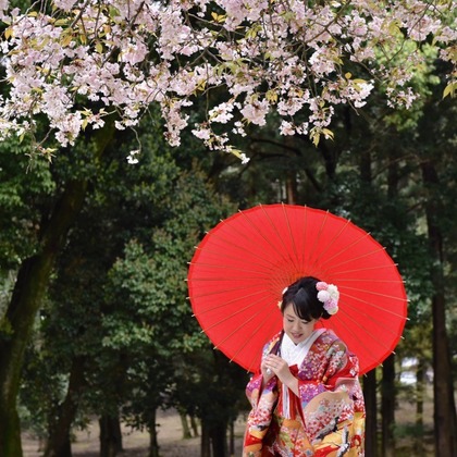 Photo of :albumName taken by Kiki photo works