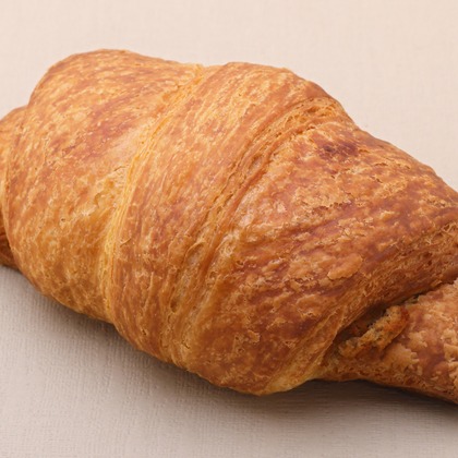 森安　照が撮影した「:albumName」の写真