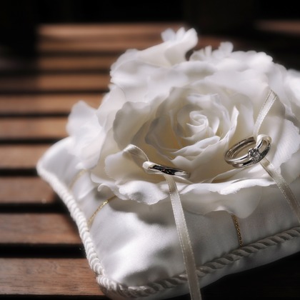 NINA Primary Pictures (苅谷 直樹)が撮影した「:albumName」の写真