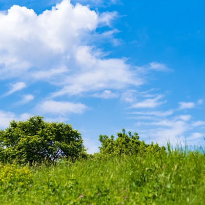 フォトスタジオ　ちっくたっくが撮影したその他の写真